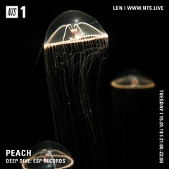 Peach 013 - DEEP DIVE: ESP Records