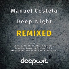 Manuel Costela - Connected (Deephope Remix) [DeepWit Recordings]
