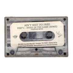 AINT SHIT FO FREE