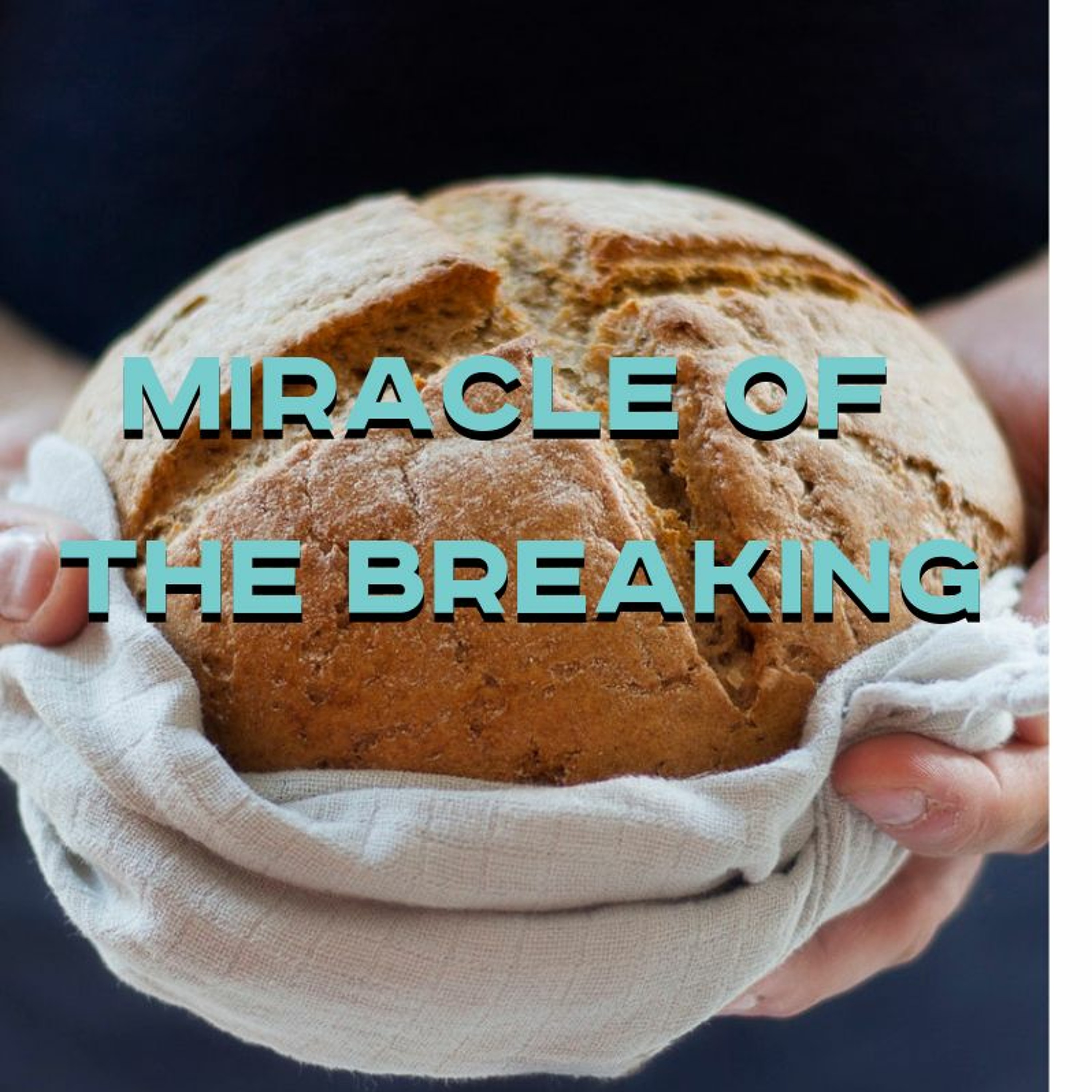 01-27-19a - Darlene Rhodes - Miracle Of The Breaking episode artwork