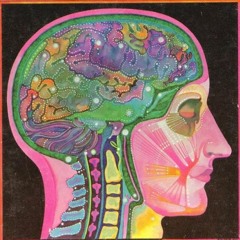 SPOOKYLI - MENTAL