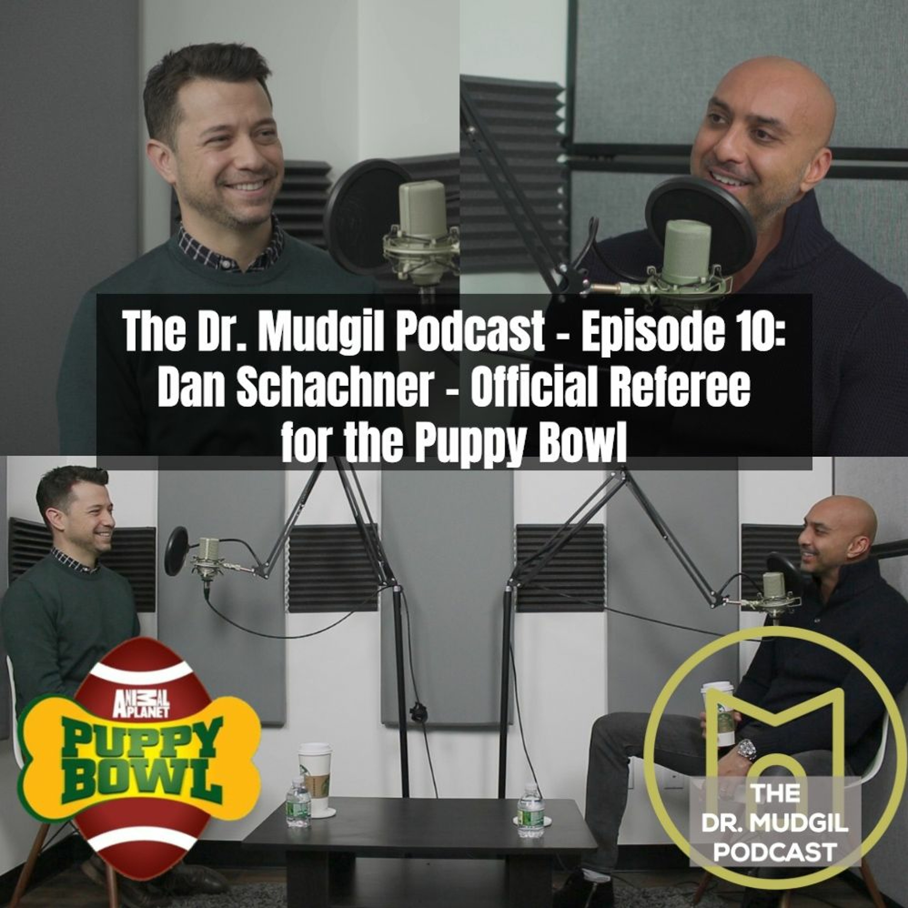 Episode 10: Dan Schachner - Official Referee for the Puppy Bowl episode artwork