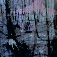 broken promises/shattered dreams