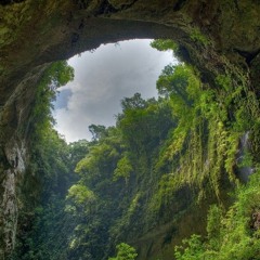 Cave Forest