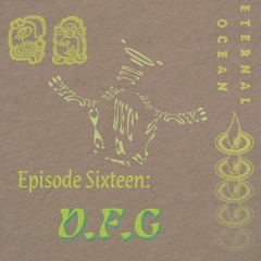 Episode Sixteen - D.F.G.