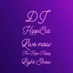 DJ HippiCats MUSICIANS ON FIRE !!!!
