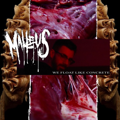 Malleus - Falling Through Inner Earth