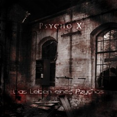 Ich fick deinen Arsch feat. Spike