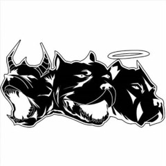 CRAIG XEN - COOMB