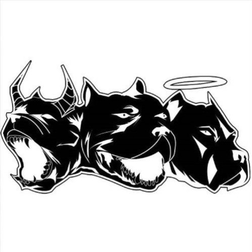 CRAIG XEN - COOMB