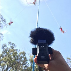 20180126 CDMX Chapultepec VoladoresDePapantla 13hrs