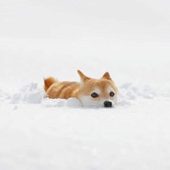 Please Never Fall In Love Again