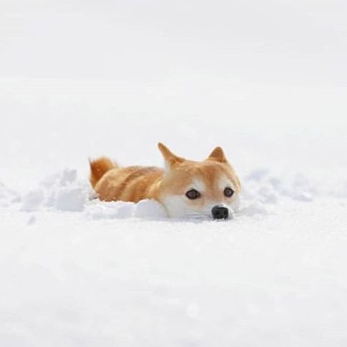 Please Never Fall In Love Again