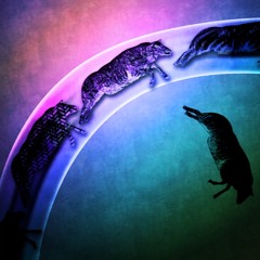 16 Bars - MADVILLAIN - Meat Grinder