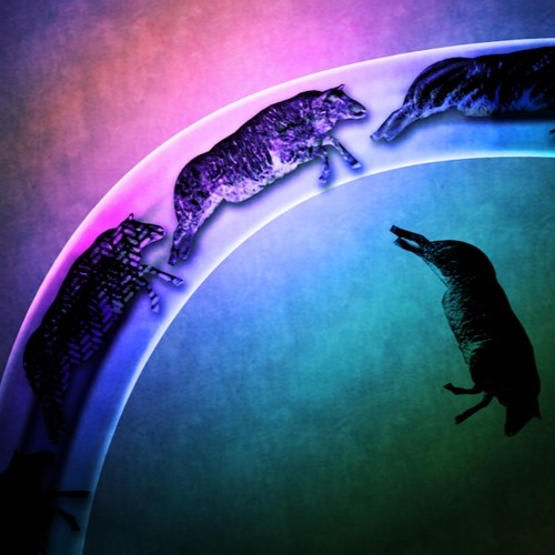 Stream 16 Bars MADVILLAIN Meat Grinder by SteezE Listen online