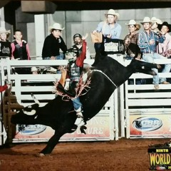 Bull tunes