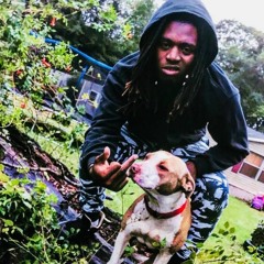 My Dawgs