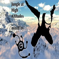 Jungle at High Altitudes
