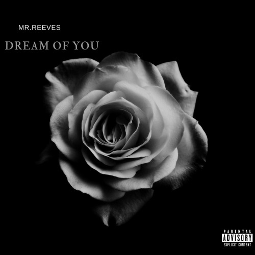 Mr. Reeves- Dream Of You