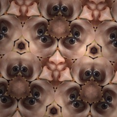 #mood is what we say, right?