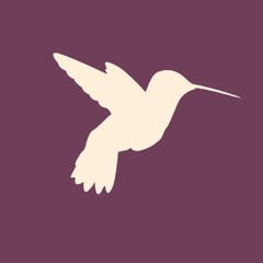 Big Yellow Taxi by Joni Mitchell - Hummingbird Duo