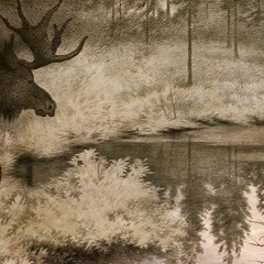 Erblicket die Töchter des Firmaments (a Burzum tribute)