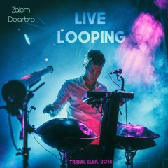 Zalem Delarbre - Live Looping