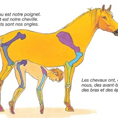 sex horse worker 4 lease