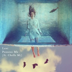 Levi ft. Chelle Mi - Posses Me