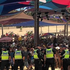 Rainbow Serpent Festival 2019 - Pelican Villa Theme Camp