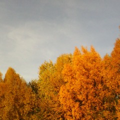 Like A Trouble Under Bridged Waters I Will Take You Down