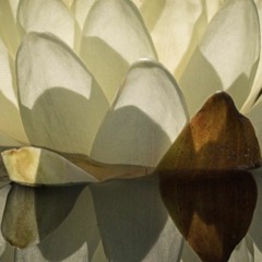 Images of Solitude - Four Settings of Rainer Maria Rilke