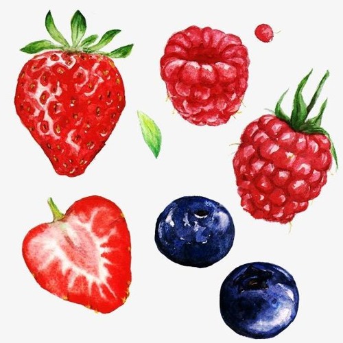 Berries - poonchew
