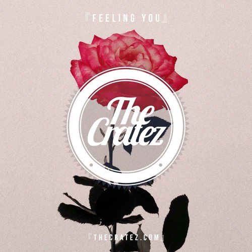 TY Dolla Sign Type Beat Free "Feeling You" | Tory Lanez Instrumental Trap 2019 || The Cratez