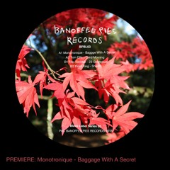 PREMIERE: Monotronique - Baggage With A Secret