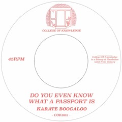 Karate Boogaloo - Do You Even Know What A Passport Is