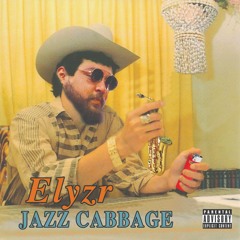 Elyzr Sucks