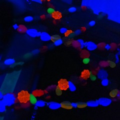 2019//01//29GayakaSCDarkPsy
