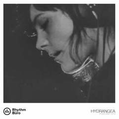 Hydrangea - Rhythm Büro Podcast 010