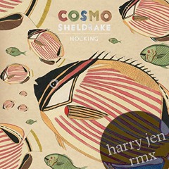 cosmo sheldrake - hocking (alternative download link in description)