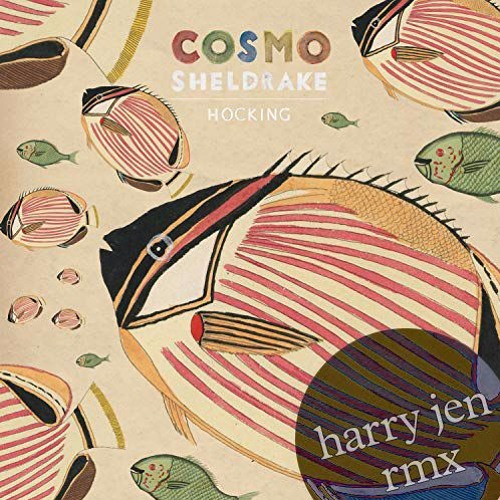 cosmo sheldrake - hocking (alternative download link in description)