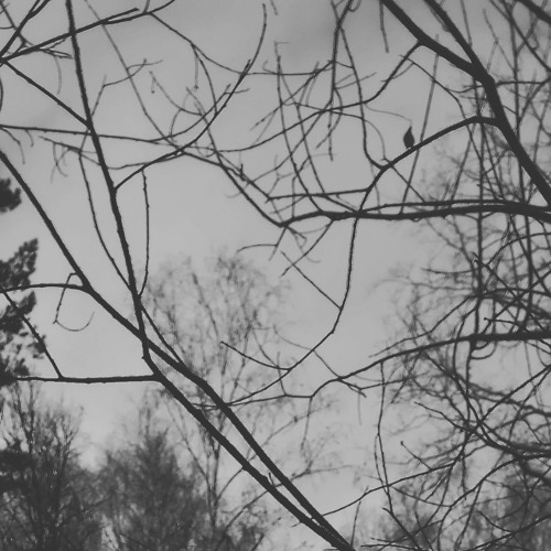 Spine x IO Eris x ghostofblu - I Shall Satisfy My Hunger With Your Flesh (prod. by IO Eris)