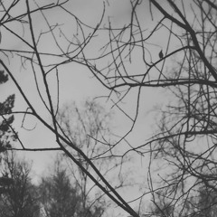 Spine x IO Eris - Cries Of Opened Vision (prod. by IO Eris)