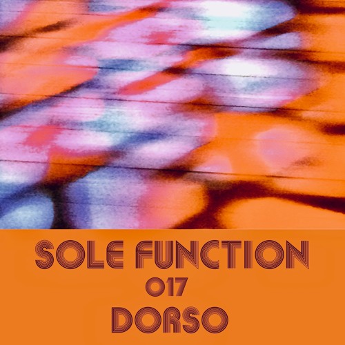 Sole Function 017