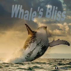 Whale's Bliss  (feat Thérence Trinquet, guitar2 & bass)