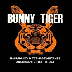 Sharam Jey & Teenage Mutants - Understand Me! (Original Mix)