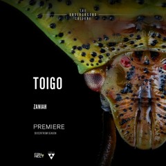 PREMIERE: Toigo - Zaniah (Original Mix) [Prisma Techno]