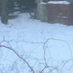 lets go to this club because its too cold here