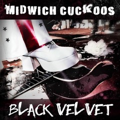 Midwich Cuckoos - Black Velvet