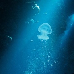 Joeski- Into The Deep Vol 4